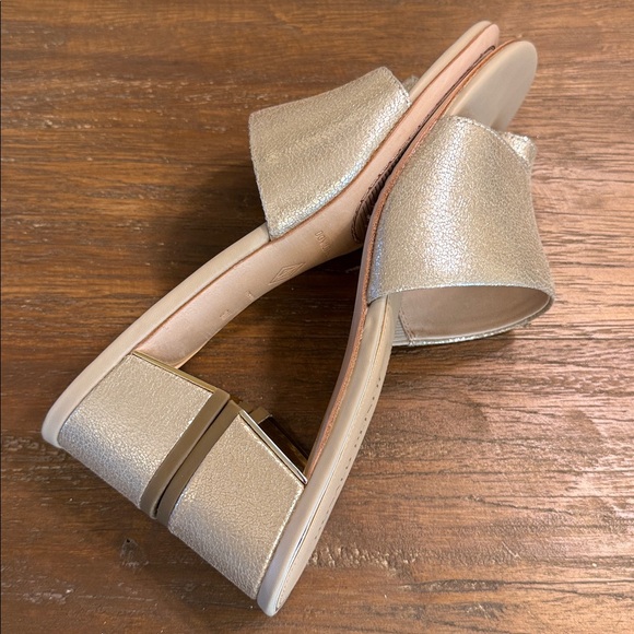 DONALD PLINER - Picture 10 of 14